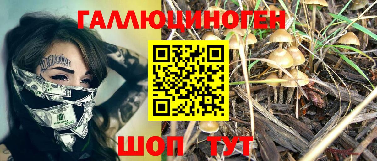 Самара  Галлюциногенные грибы Cubensis  Вход с VPN  Псилоцибиновые грибы Magic Shrooms 